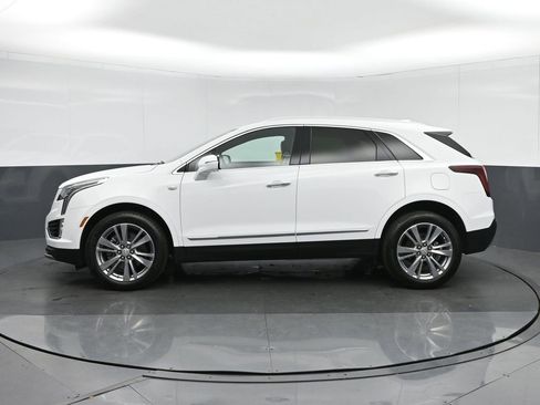 Used 2024 Cadillac XT5 Premium Luxury image 4