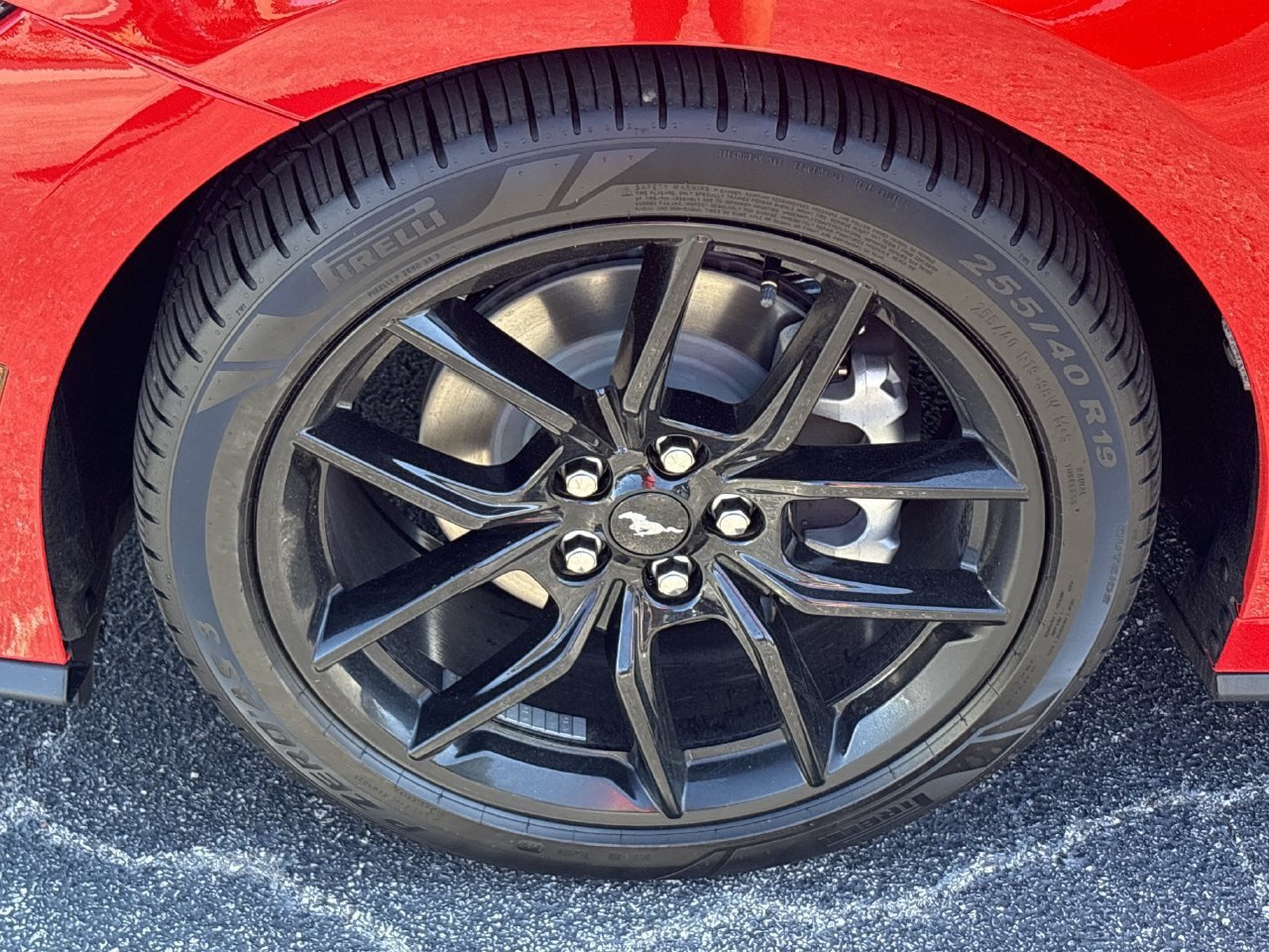 New 2026 Ford Mustang Coupe w/ Mustang Nite Pony Package RWD image 19