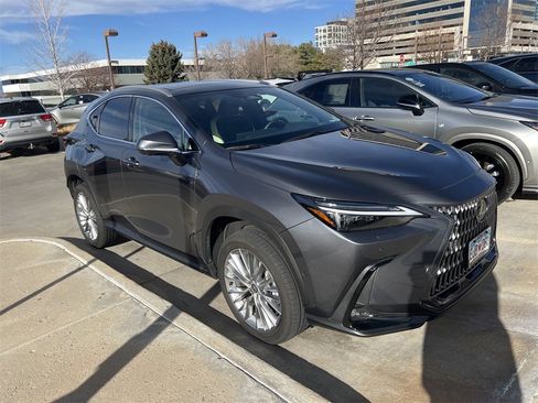 Certified 2024 Lexus NX 300h AWD w/ Luxury Package image 2