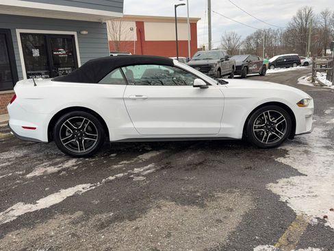 Used 2020 Ford Mustang Premium image 4