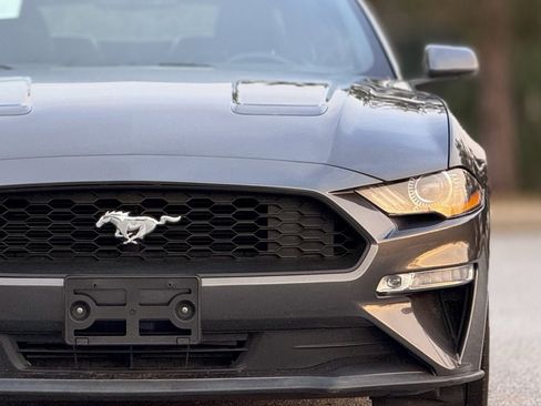 Used 2019 Ford Mustang Premium image 14