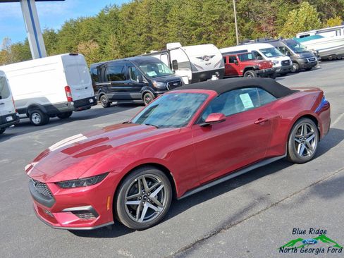 New 2025 Ford Mustang Premium RWD image 20