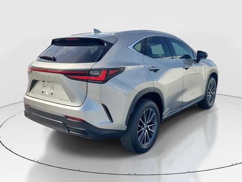 Certified 2024 Lexus NX 250 FWD image 6
