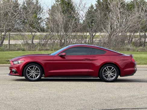 Used 2017 Ford Mustang Premium RWD image 5