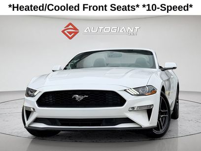 Used 2019 Ford Mustang Premium