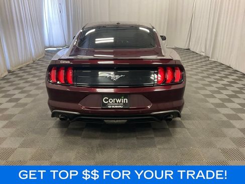 Used 2018 Ford Mustang Premium w/ Equipment Group 201A RWD image 3