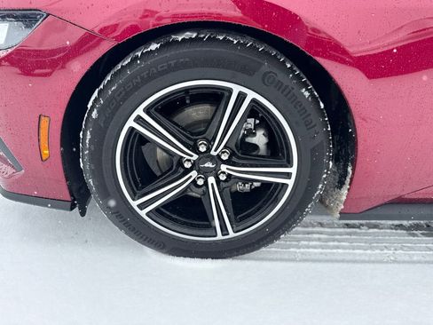 Used 2025 Ford Mustang Premium image 12