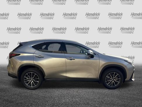 Used 2025 Lexus NX 350 AWD w/ Cold Area Package image 11