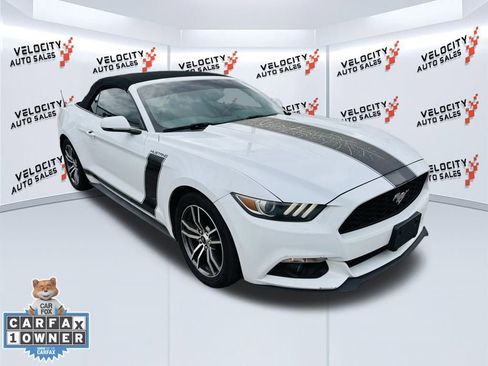 Used 2017 Ford Mustang Premium w/ Equipment Group 201A image 13