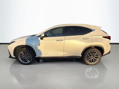 Used 2023 Lexus NX 350h 350h Premium image 7