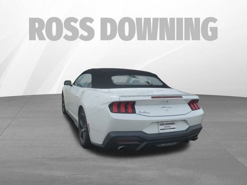 Used 2024 Ford Mustang Premium image 6