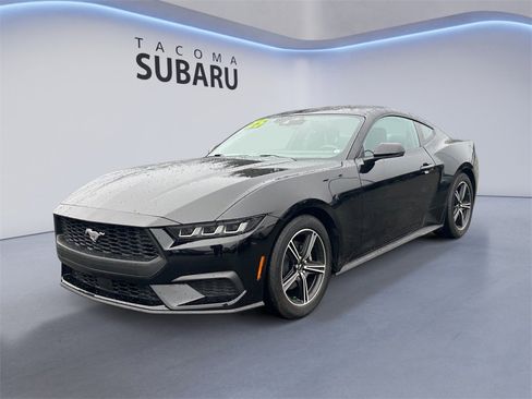 Used 2025 Ford Mustang Premium image 1