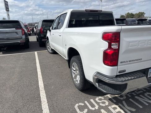 Used 2020 Chevrolet Silverado 1500 LT w/ All-Star Edition image 9