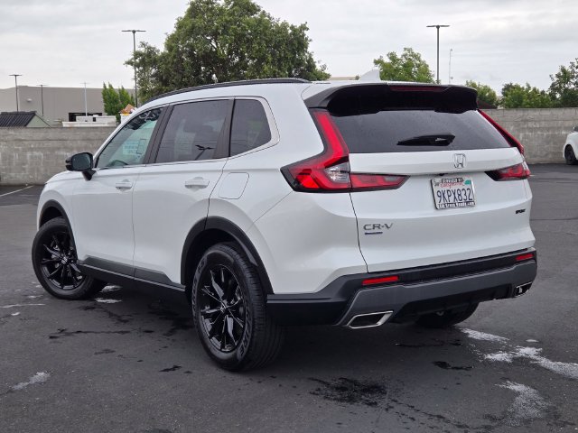 Certified 2024 Honda CR-V Sport image 6