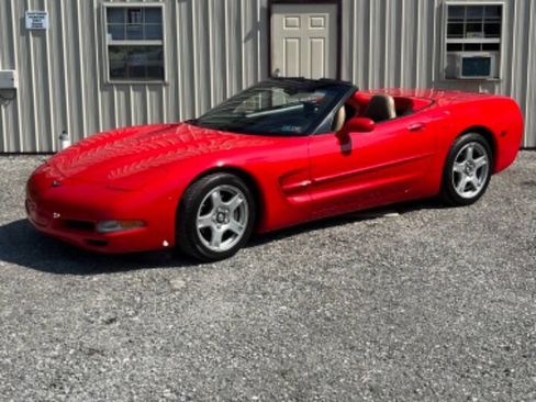 Used 1999 Chevrolet Corvette Convertible image 2