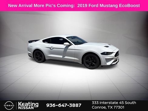 Used 2019 Ford Mustang Coupe RWD image 1