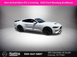 Used 2019 Ford Mustang Coupe RWD video 1