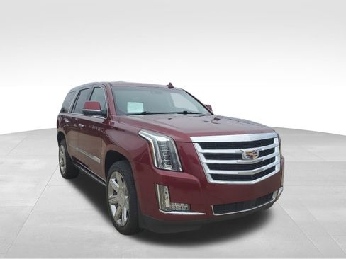 Used 2019 Cadillac Escalade Premium Luxury w/ LPO, Radiant Package image 3