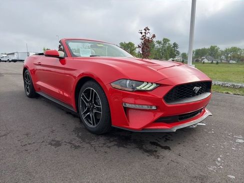 Used 2020 Ford Mustang Premium RWD image 2
