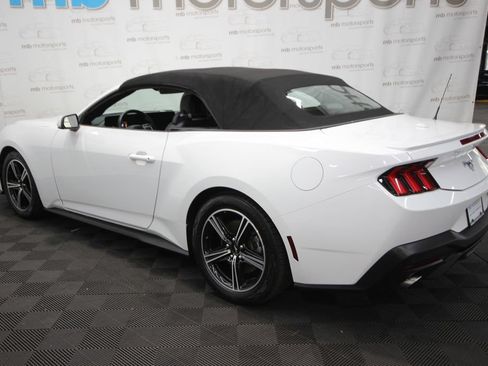 Used 2024 Ford Mustang Premium RWD image 3