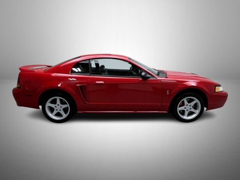 Used 1999 Ford Mustang Cobra RWD image 4