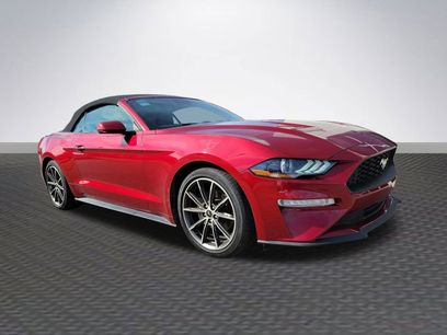 Used 2019 Ford Mustang Premium w/ Equipment Group 201A