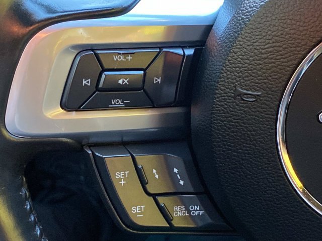 Used 2019 Ford Mustang Premium w/ Equipment Group 201A RWD image 18