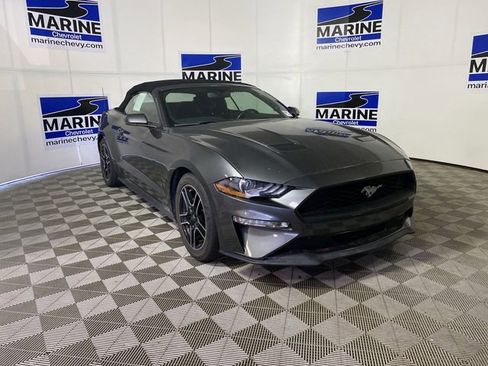 Used 2020 Ford Mustang Premium RWD image 1