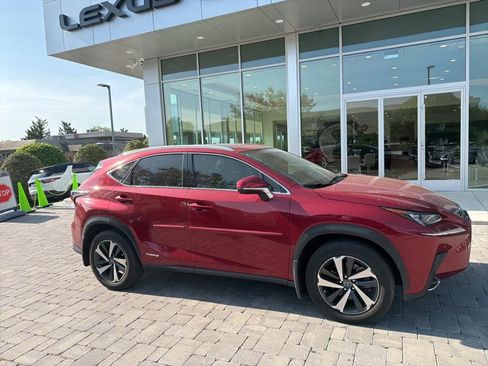 Used 2020 Lexus NX 300h AWD w/ Luxury Package image 6