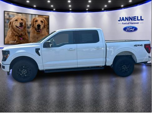 Used 2024 Ford F150 XLT w/ Equipment Group 302A MID AWD/4WD image 9