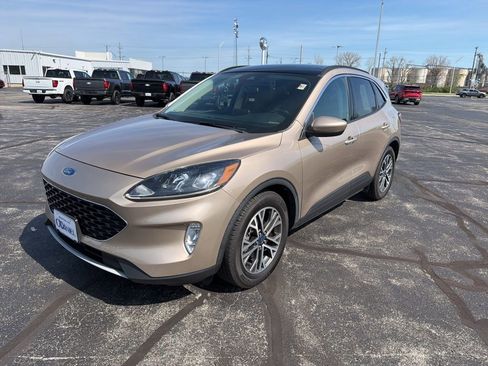 Used 2020 Ford Escape SEL image 5