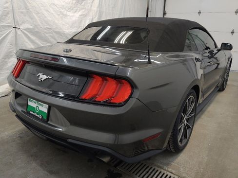 Used 2019 Ford Mustang Premium w/ Equipment Group 201A image 9