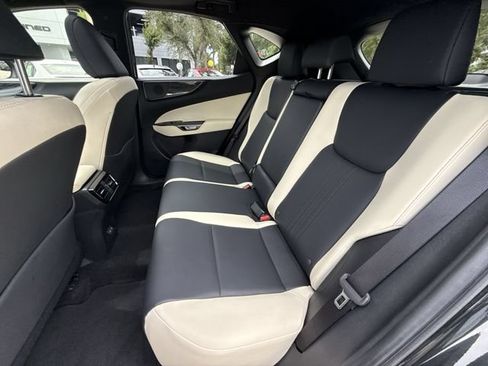 Certified 2024 Lexus NX 250 FWD w/ Cold Area Package image 23