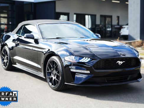 Used 2019 Ford Mustang Convertible w/ Ecoboost Performance Package image 1