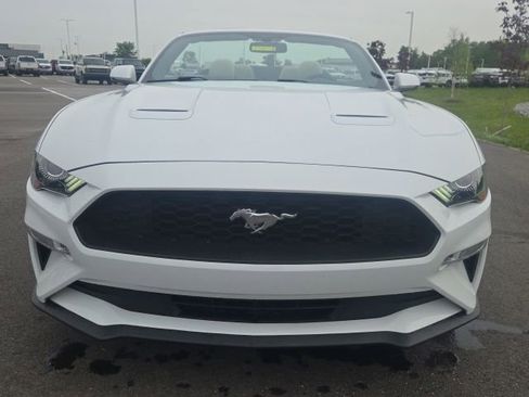 Used 2019 Ford Mustang Premium RWD image 6