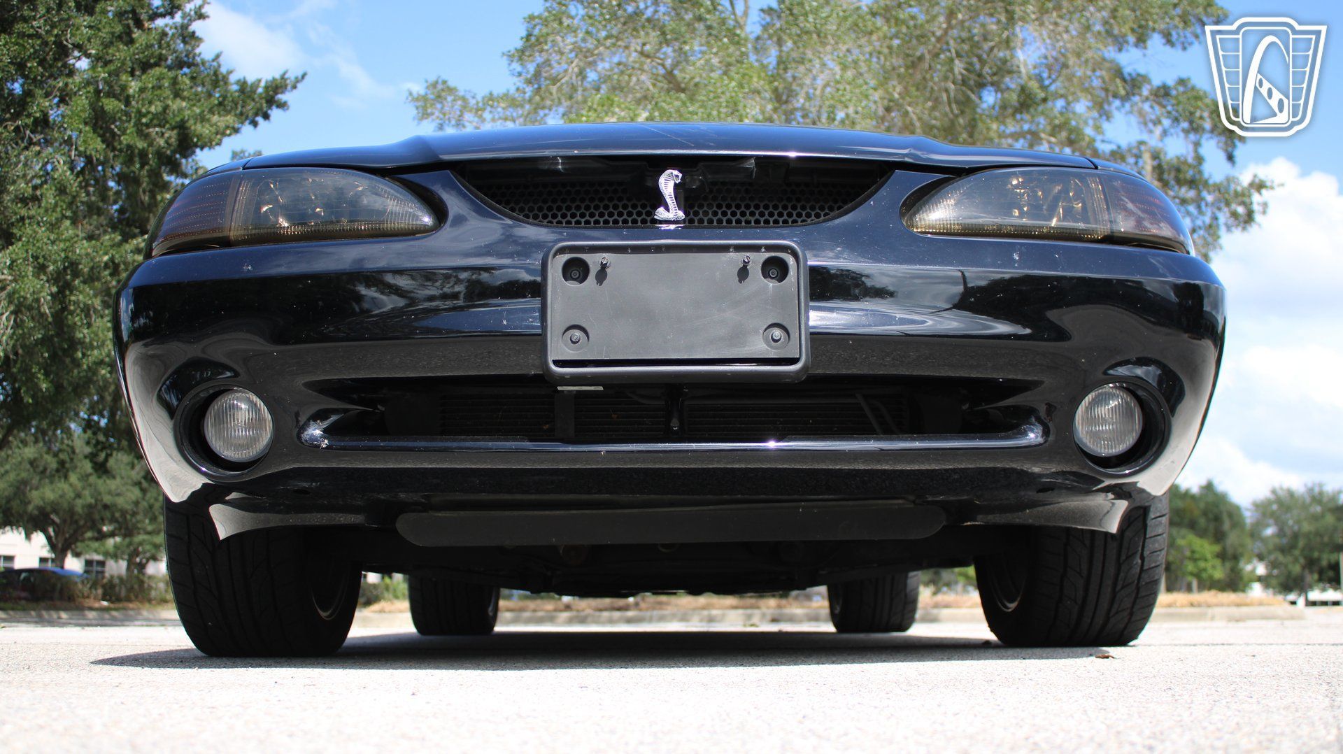 Used 1997 Ford Mustang Cobra RWD image 5