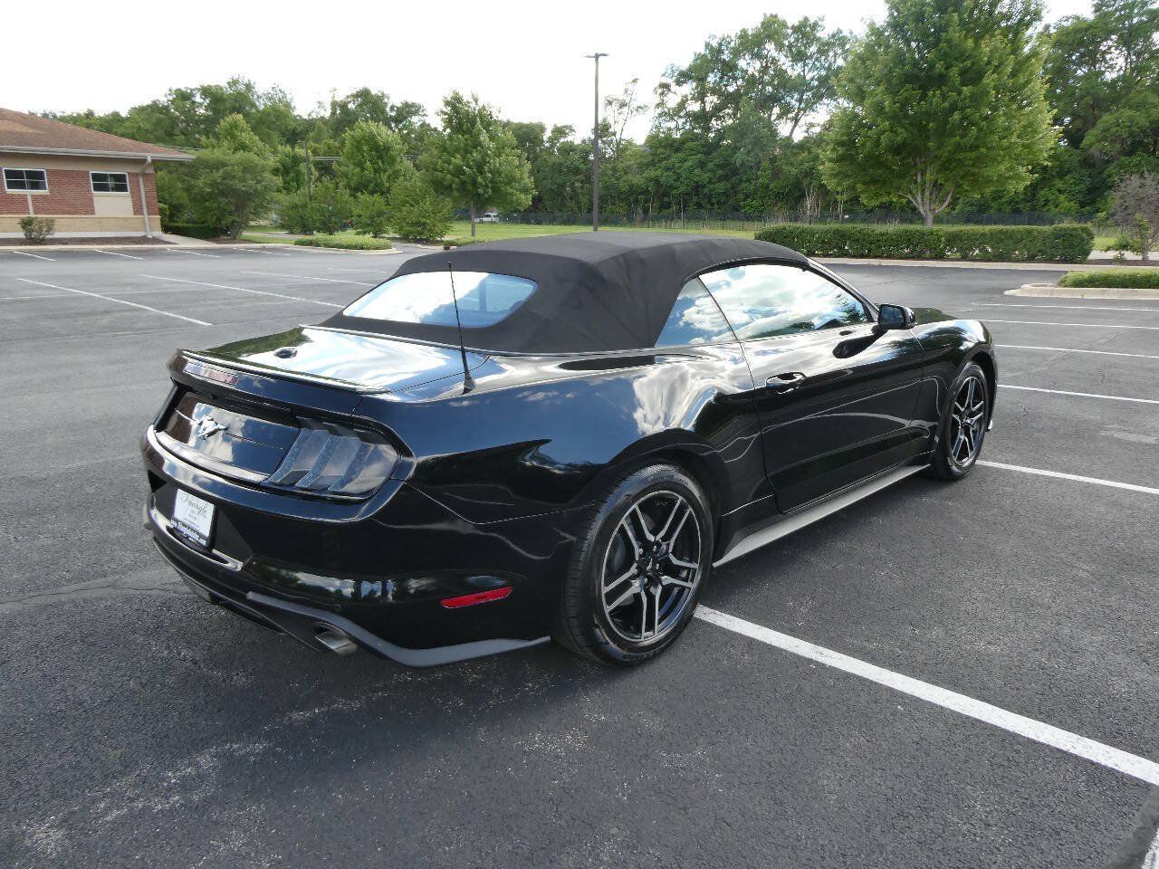 Used 2019 Ford Mustang Premium RWD image 5