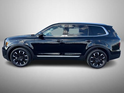 Used 2023 Kia Telluride SX Prestige image 6