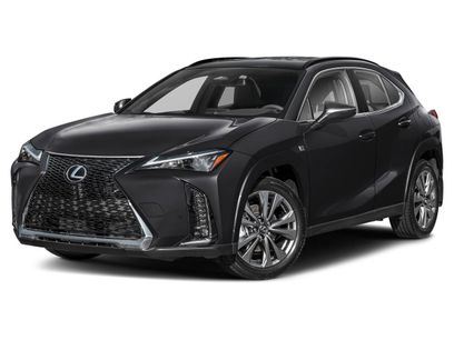 New 2025 Lexus UX 300h AWD w/ Cold Area Package
