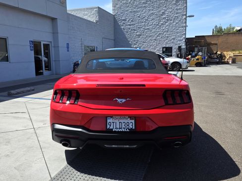 Used 2025 Ford Mustang Convertible RWD image 4