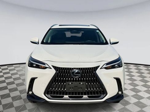 Used 2025 Lexus NX 350 AWD w/ Cold Area Package image 6