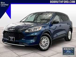 Used 2020 Ford Escape SE Sport FWD video 1