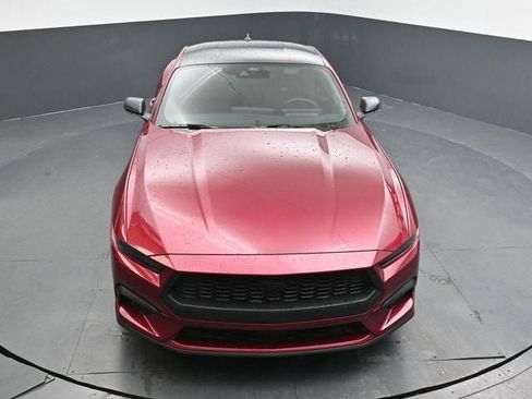 New 2026 Ford Mustang Coupe w/ Mustang Nite Pony Package RWD image 16