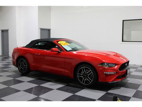 Used 2023 Ford Mustang Premium image 1