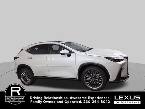 Used 2025 Lexus NX 350h AWD w/ Accessory Package (A2) image 6