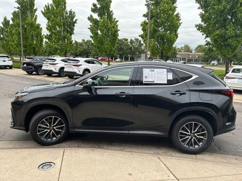 Used 2024 Lexus NX 350h AWD image 6