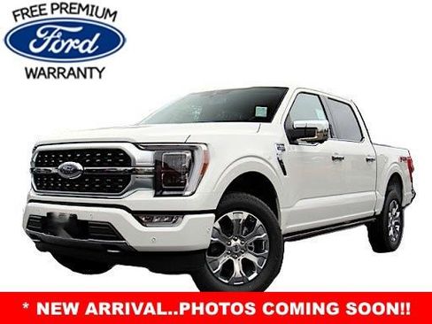 Used 2021 Ford F150 Platinum w/ Equipment Group 701A High AWD/4WD image 2