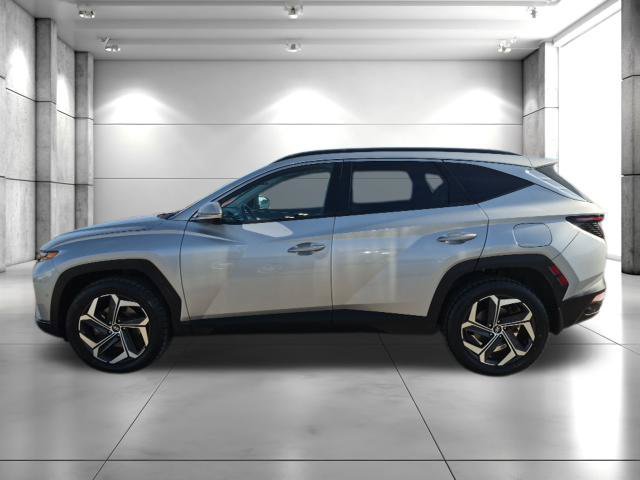 Used 2024 Hyundai Tucson Limited AWD/4WD image 8