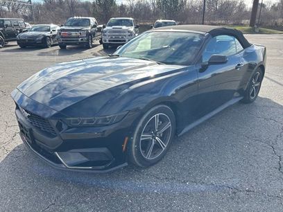 Used 2025 Ford Mustang Premium