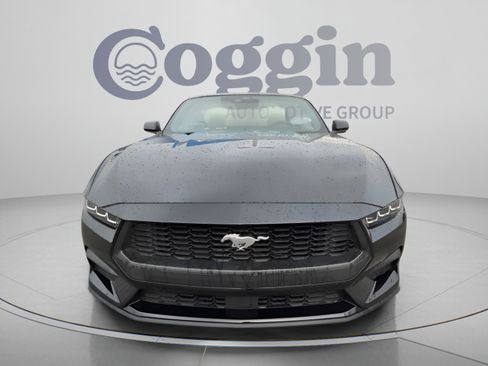 Used 2024 Ford Mustang Premium RWD image 8